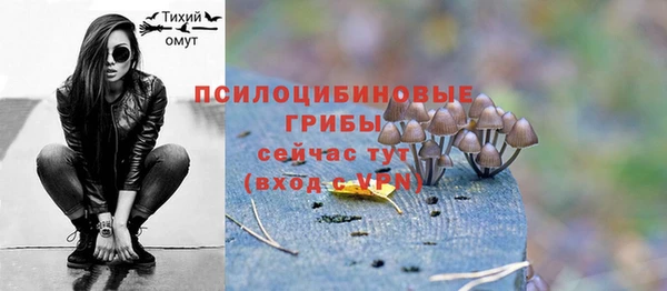 а пвп мука Алзамай
