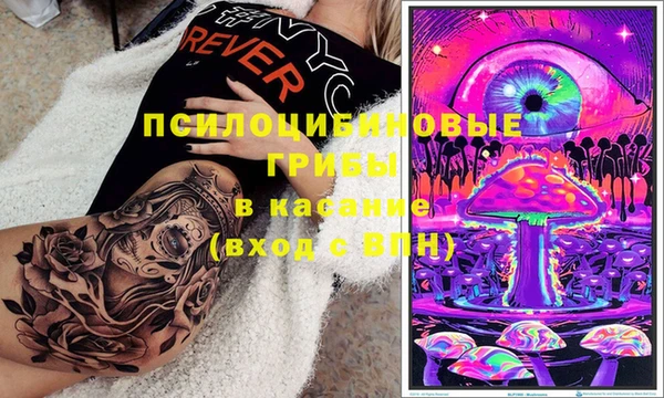 прущие грибы Алексин
