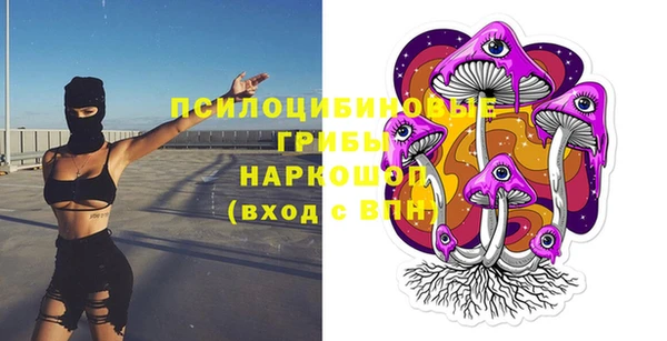 дурь Алексеевка