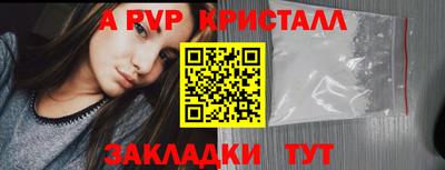 спайс Кингисепп