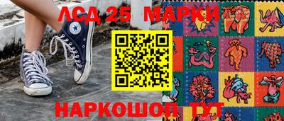 спайс Кингисепп