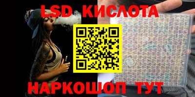спайс Кингисепп