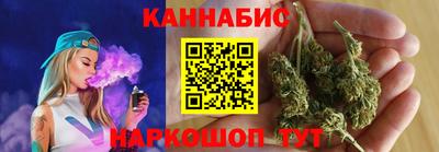 спайс Кингисепп