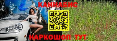 сатива Кинель