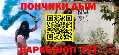 спайс Кингисепп