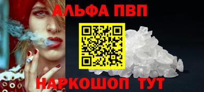 спайс Кингисепп