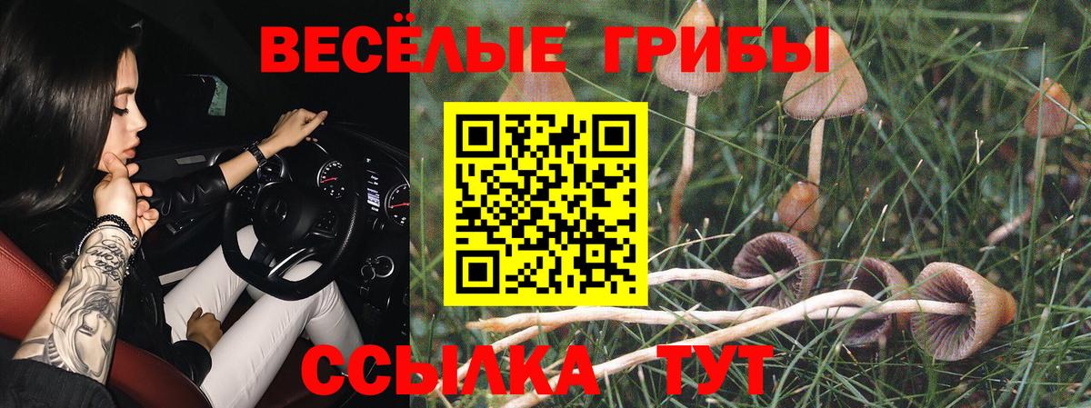 Галлюциногенные грибы GOLDEN TEACHER Ефремов